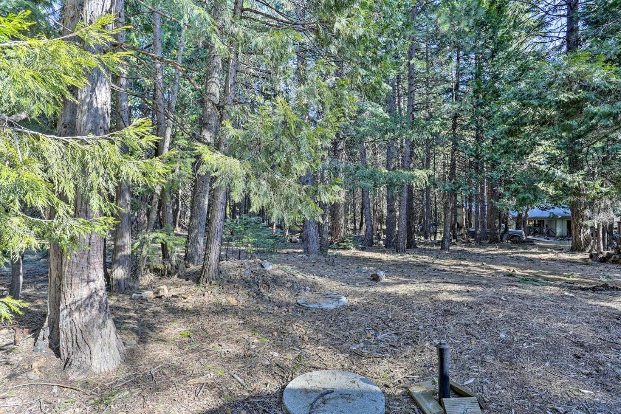 Base Camp Lassen Home 13 Mi To Volcanic Natl Park Shingletown Bagian luar foto