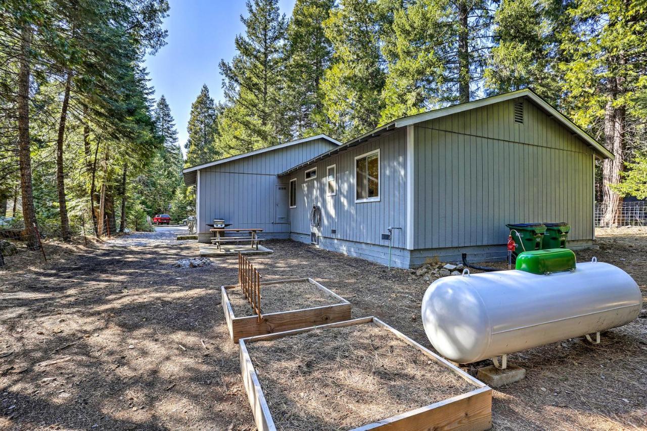 Base Camp Lassen Home 13 Mi To Volcanic Natl Park Shingletown Bagian luar foto